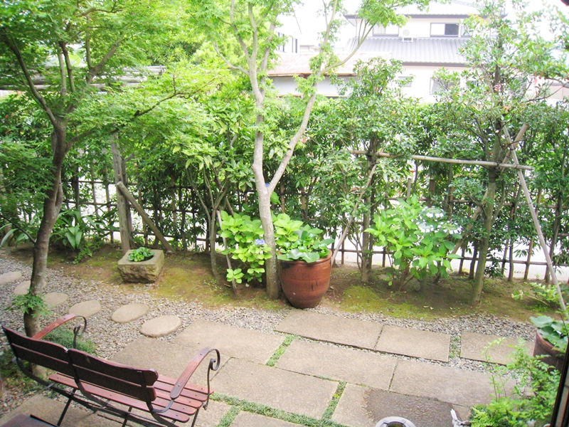 イロドリの庭緑と石畳