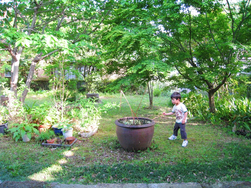 緑の多い庭で遊ぶ子供