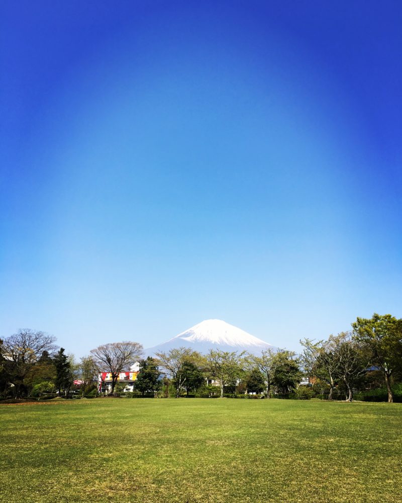 芝生と青空に富士山