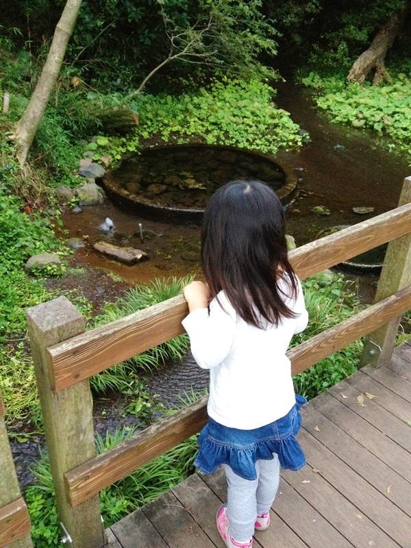 橋から池を見る少女