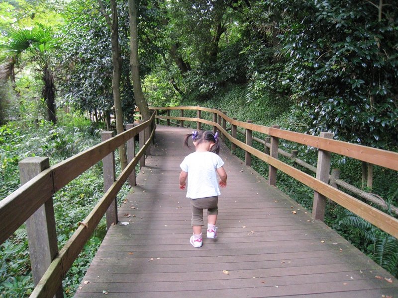 木の橋を歩いている子供周りには木々の緑