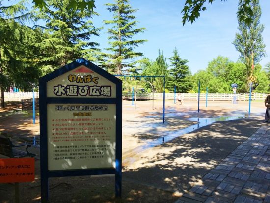 虹の郷の水遊び広場と書かれた看板バックに広場