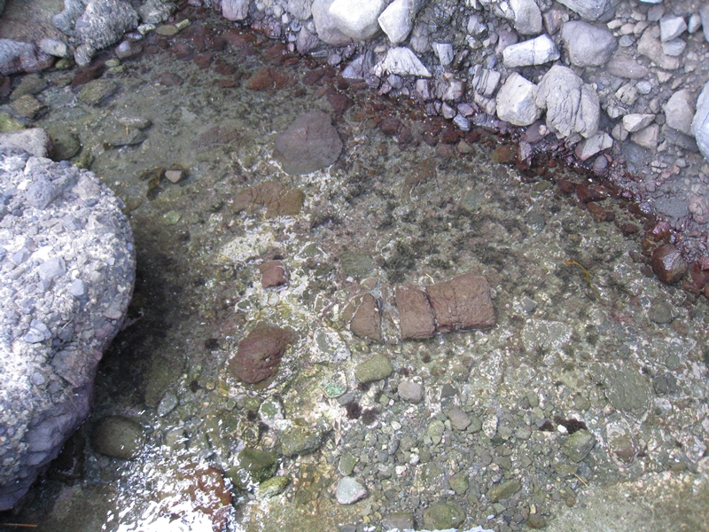 透明な水の中に石などがある