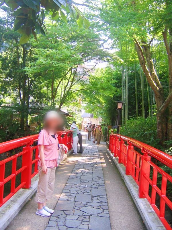 竹林の下、赤い手すりの橋に立つ女性